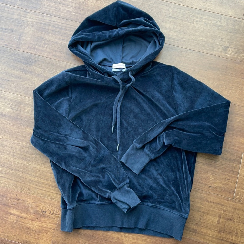 Blue velvet urban outfitters hoodie